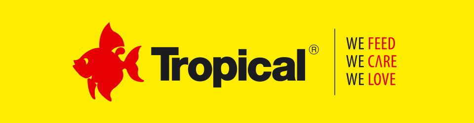 Tropical