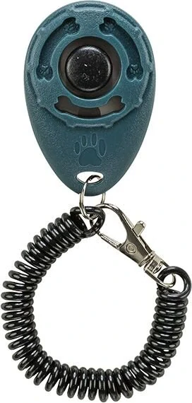 Clicker Sporting 
