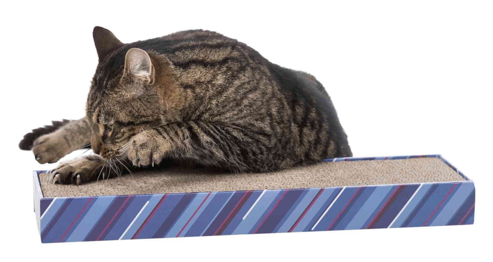 Škrábací karton SCRATCHY s catnipem 13x48cm