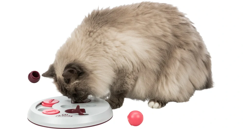 Cat Activity FLIP BOARD, strategická hra,  ? 23, vínová/růžová/šedá