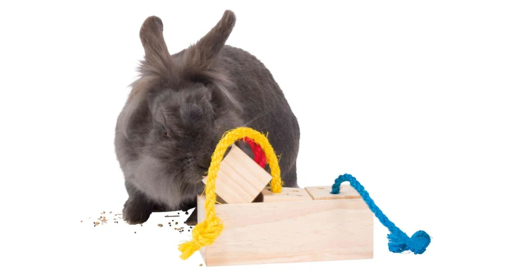Hra pro králíky - dřevěná kostka na pamlsky 16x6x7 cm
