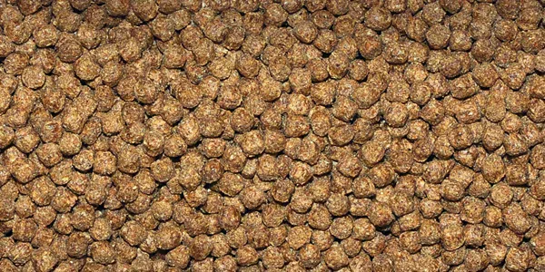 Cichlid granulát