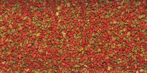 BASIC Tropical granules ( exp. 4/25 ) poslední kus )