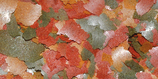 Colour flakes