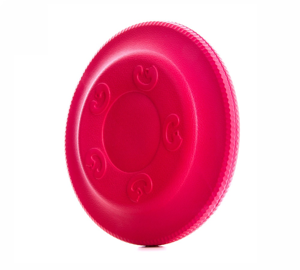Frisbee - odolná hračka z EVA pěny