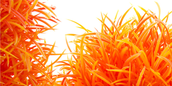 Orange Hygro - akvarijní plastová rostlinka