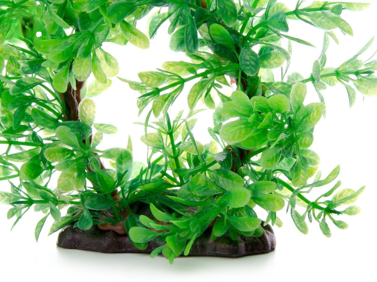 Ludwigia Ring - akvarijní plastová rostlinka