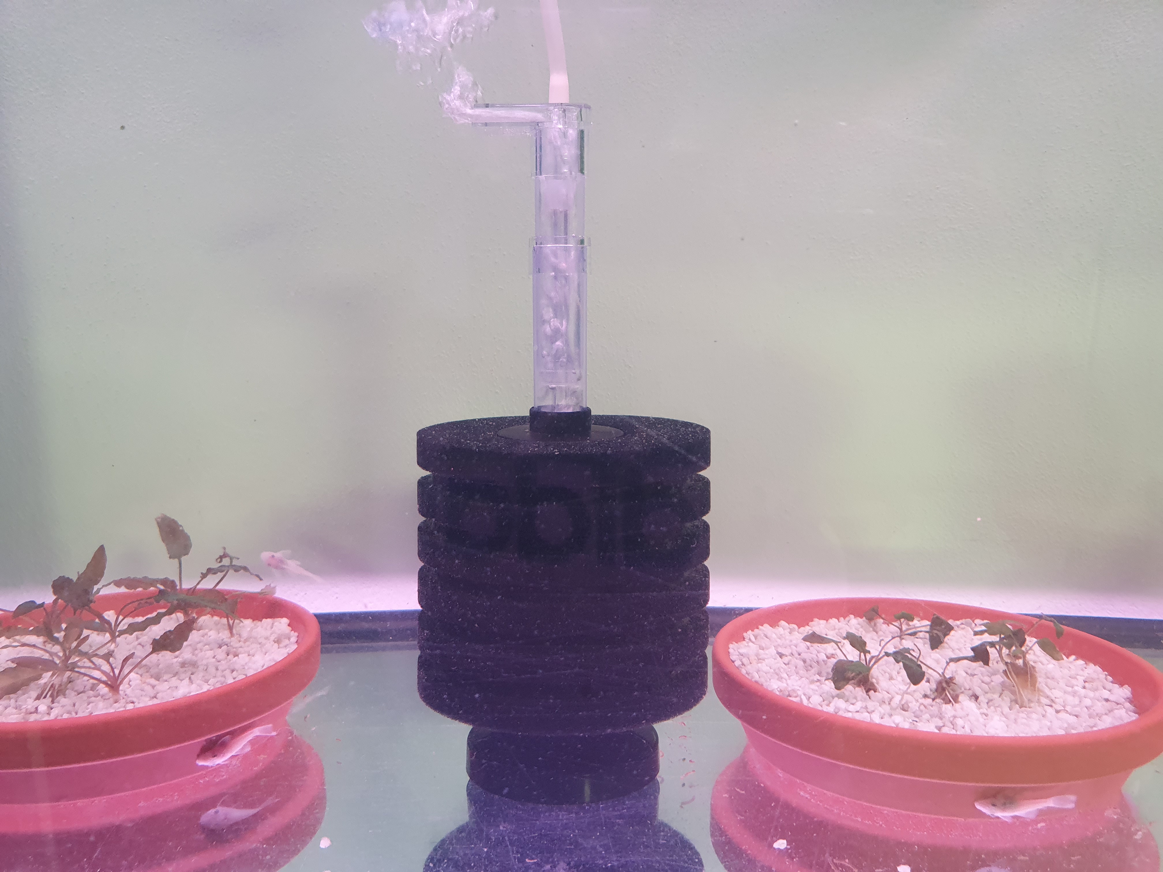 Molitanový biofiltr stojánkový do 250l