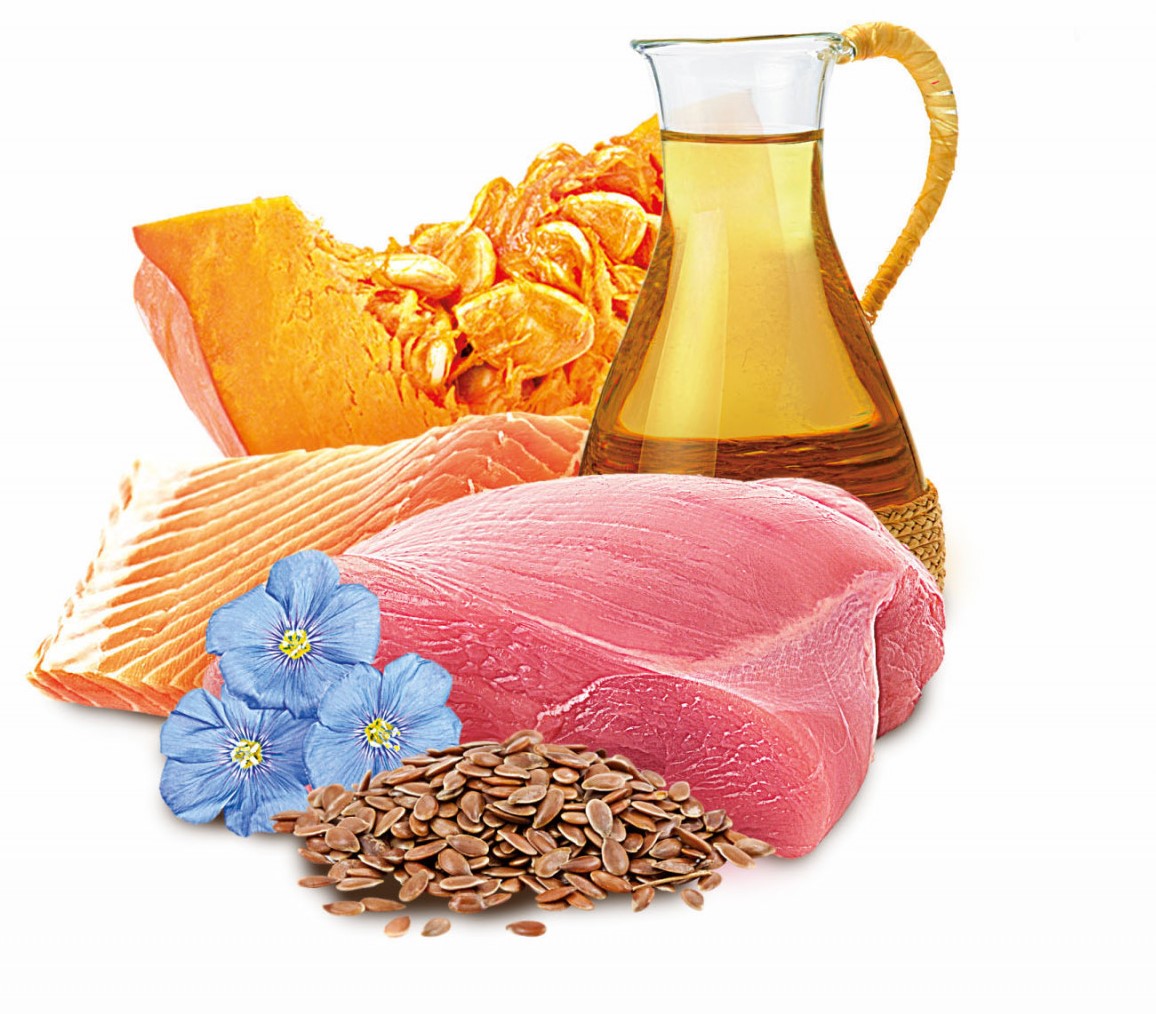 Sam's Field True Meat šťavnaté masové kapsičky krůtí s lososem a lněným olejem pro štěňata 260 g 
