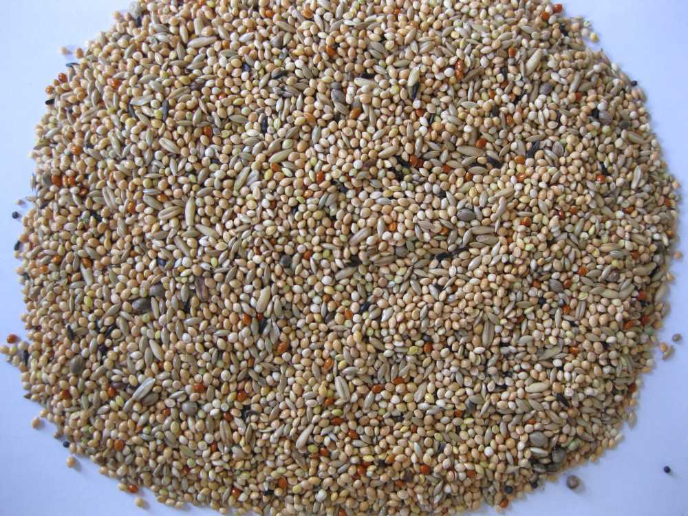 Krmivo - Deli Nature Premium andulka 1kg