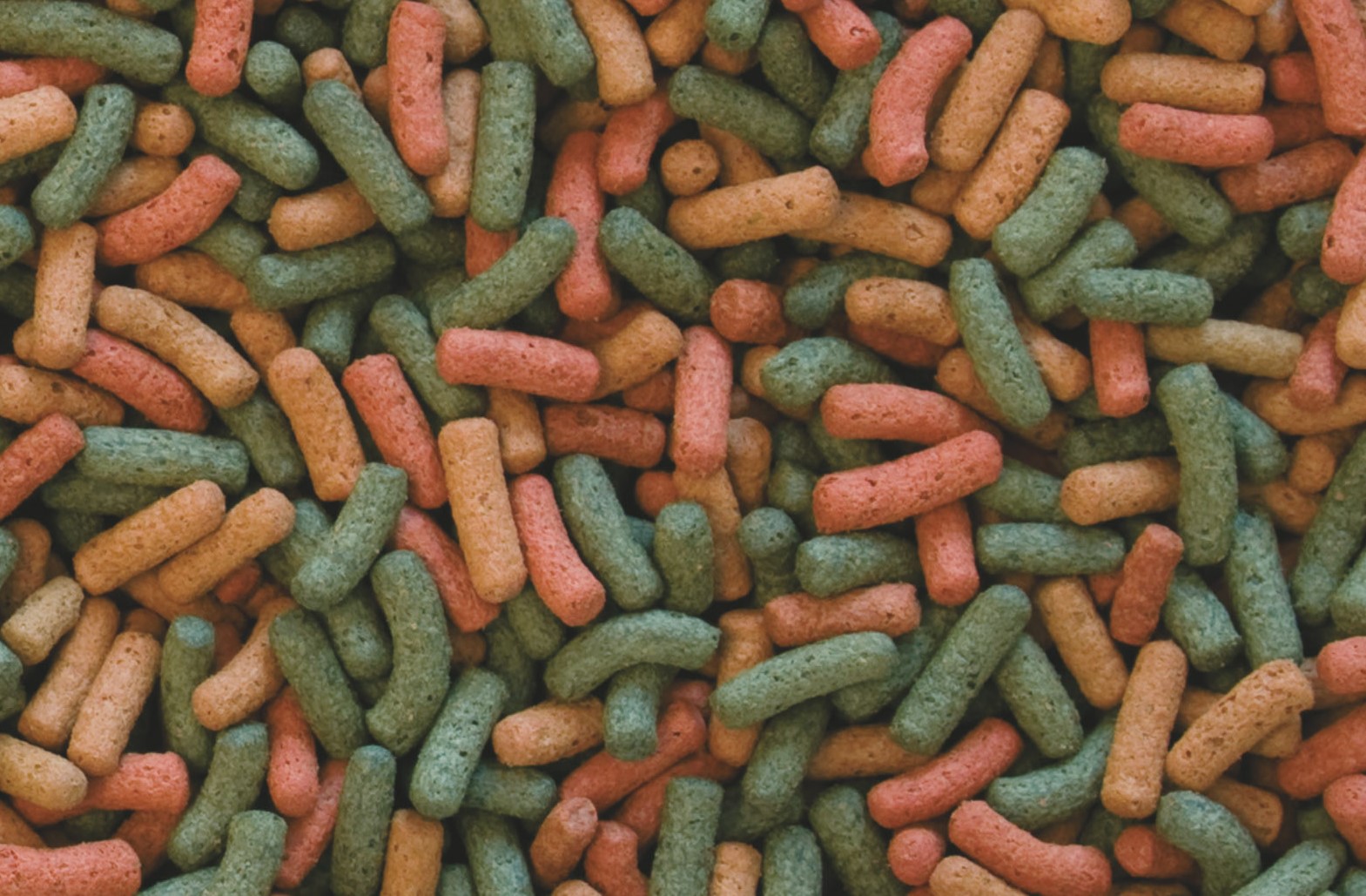 Tropical – Biorept W 5 l/1,5 kg vodní želva