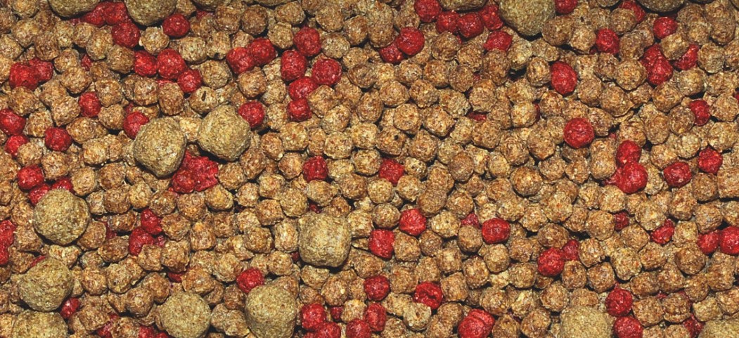 Koi stick granule 5000 ml