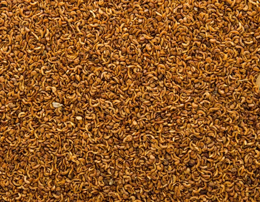 Gammarus Mini, 100% Bio-přírodní krmivo