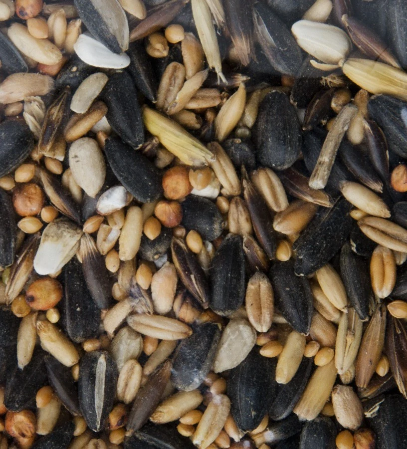 Avicentra – krmítková směs 1 kg