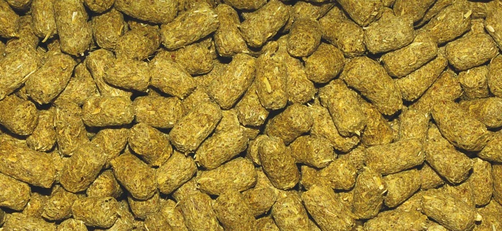 Tortoise sticks granulát