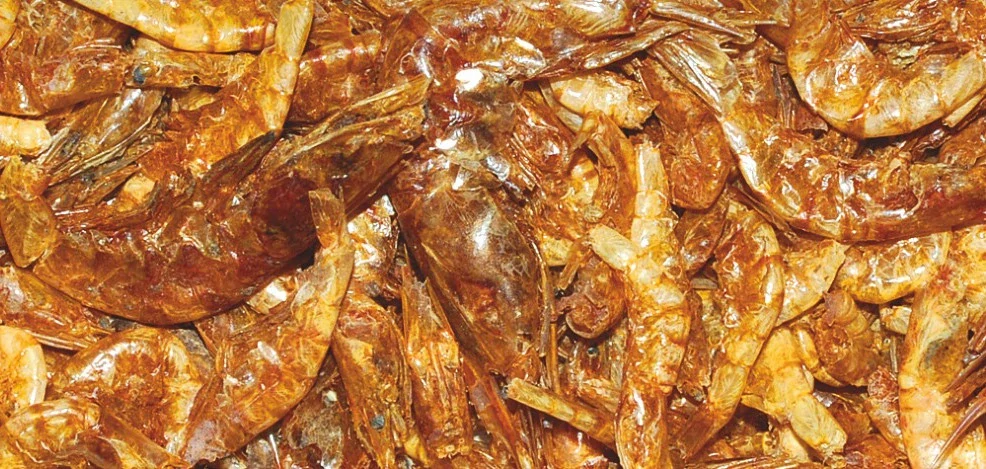 Shrimp
