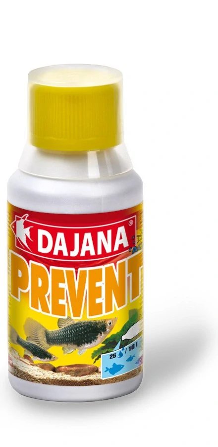 Dajana Prevent