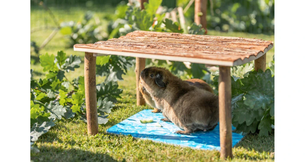 Chladící keramická podložka pro hlodavce, modrá