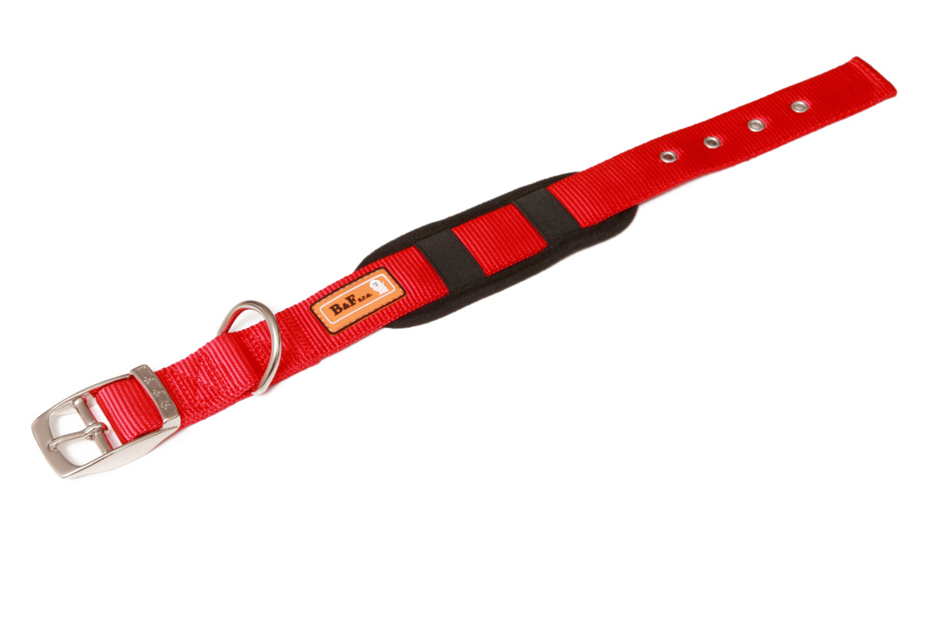 Popruhový obojek CLASSIK 30mm