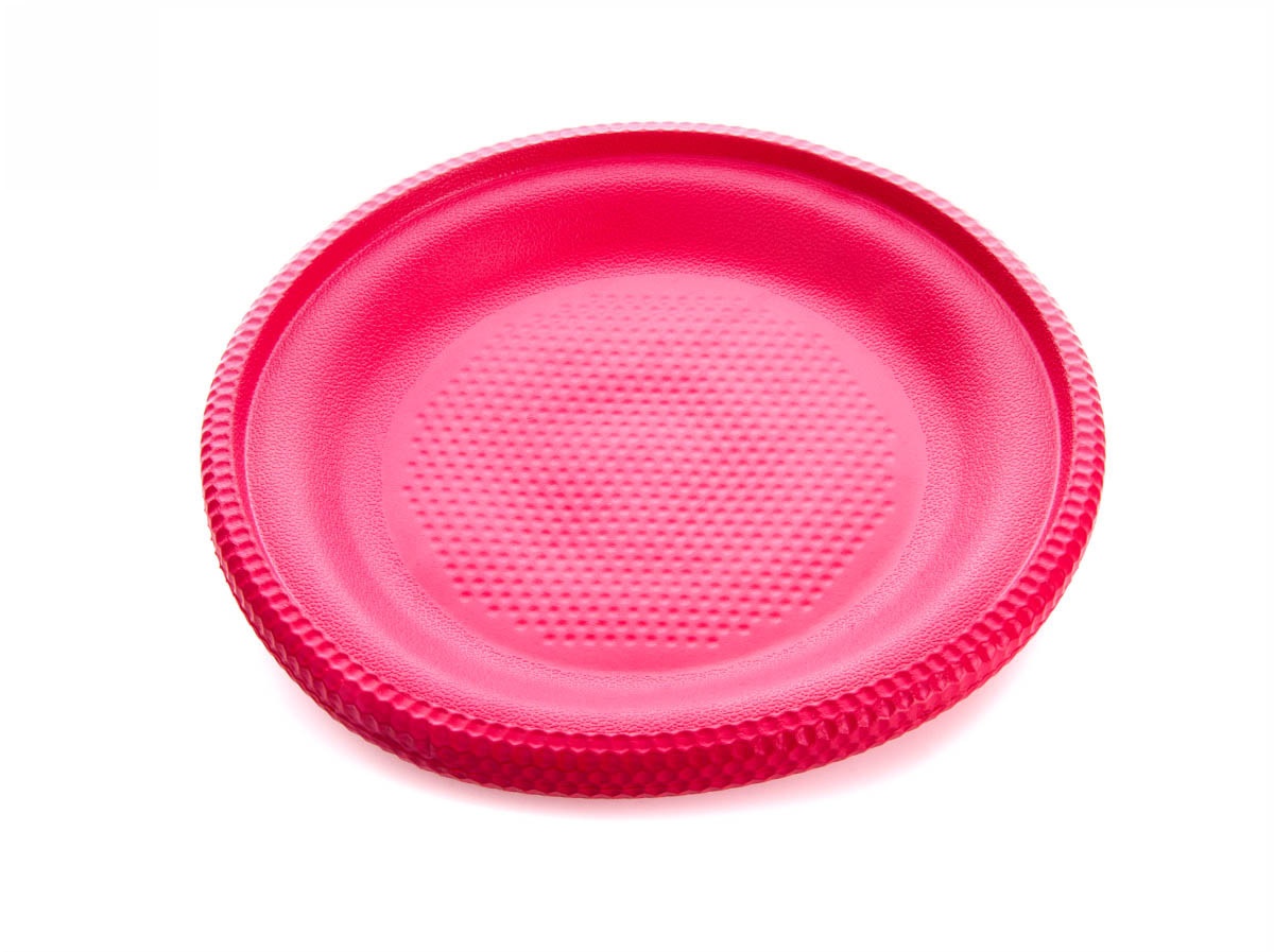 Frisbee - odolná hračka z EVA pěny