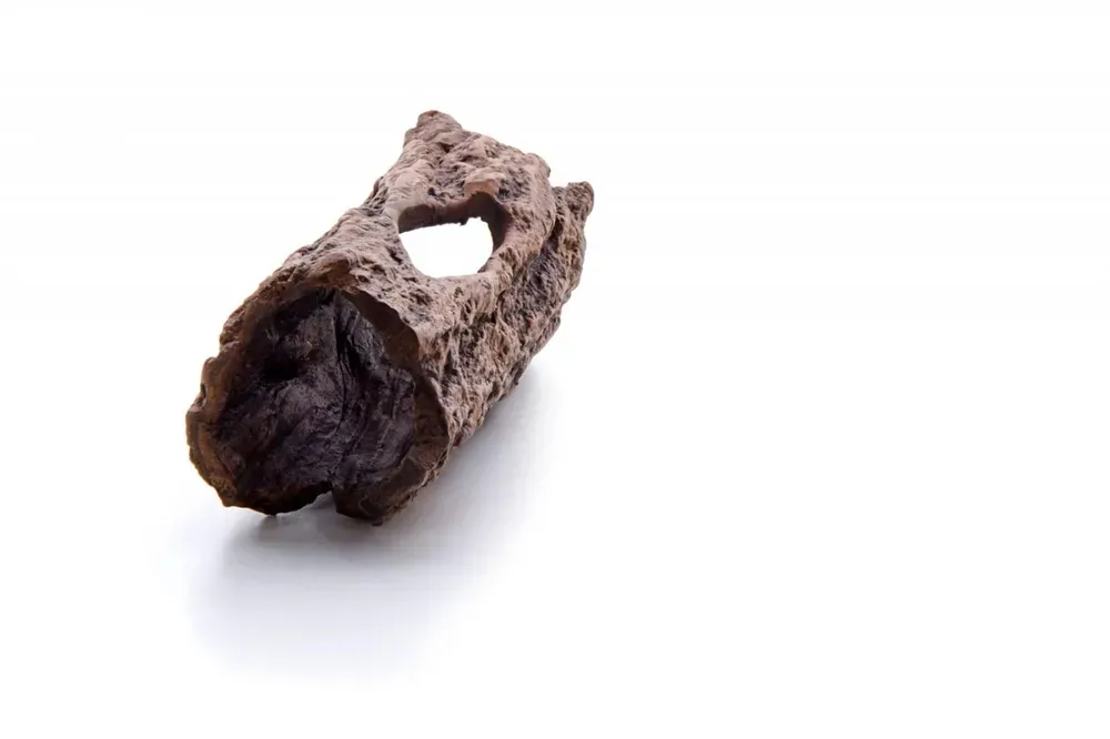 Dekorace keramická kořen" S" malá 14,5 cm, do terária nebo akvária