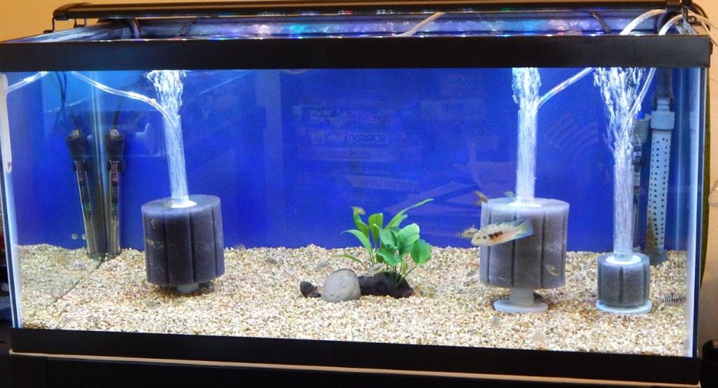 Molitanový biofiltr stojánkový do 40l