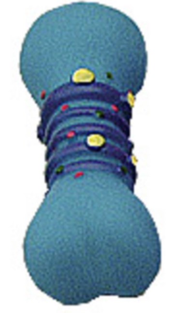 Hračka pro psa činka multicolor 10cm