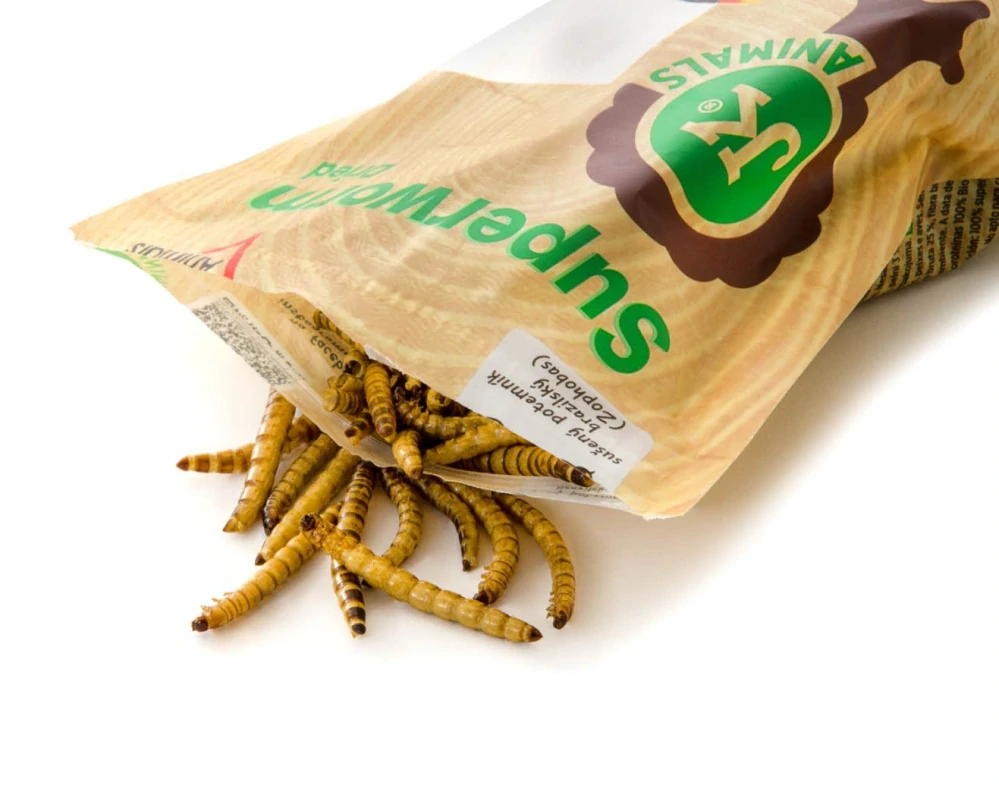 Sušený potemník brazilský 80 g, (Zophobas morio)
