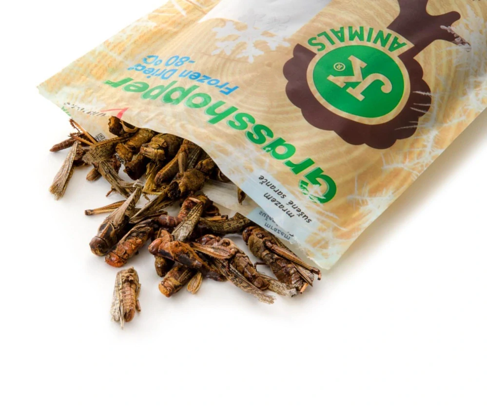 Mrazem sušená saranče 80 g, (Acrida cinerea)