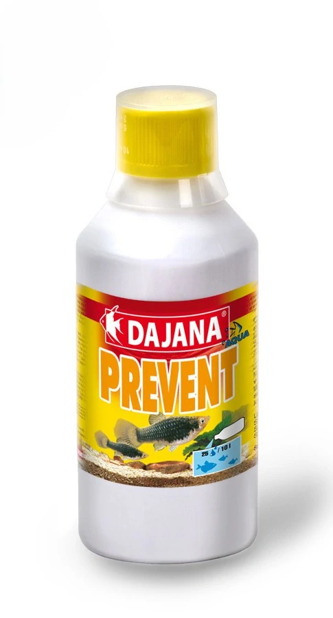 Dajana Prevent