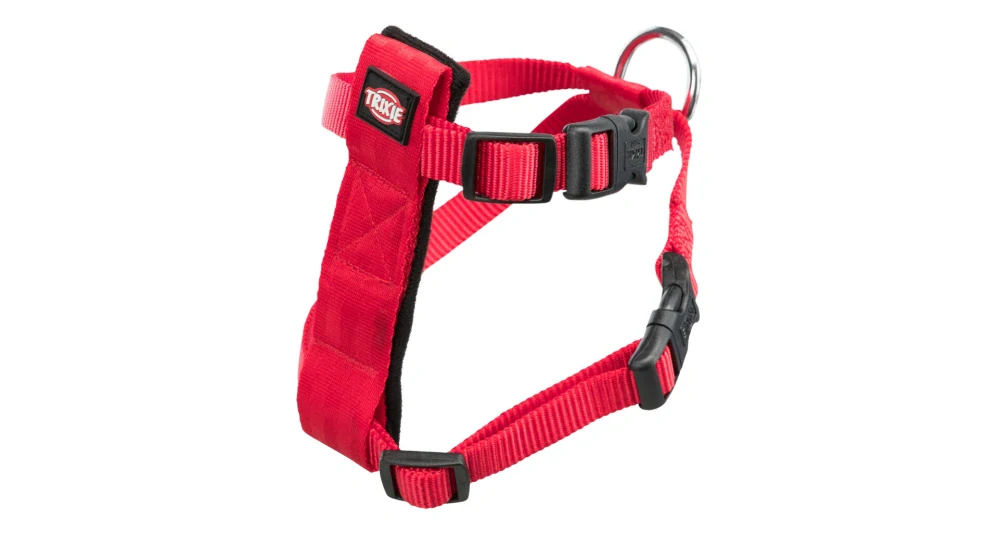 Postroj do auta pro kočku 20-50cm