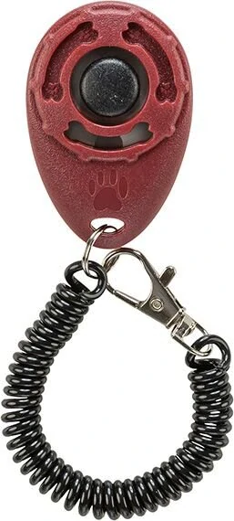 Clicker Sporting 