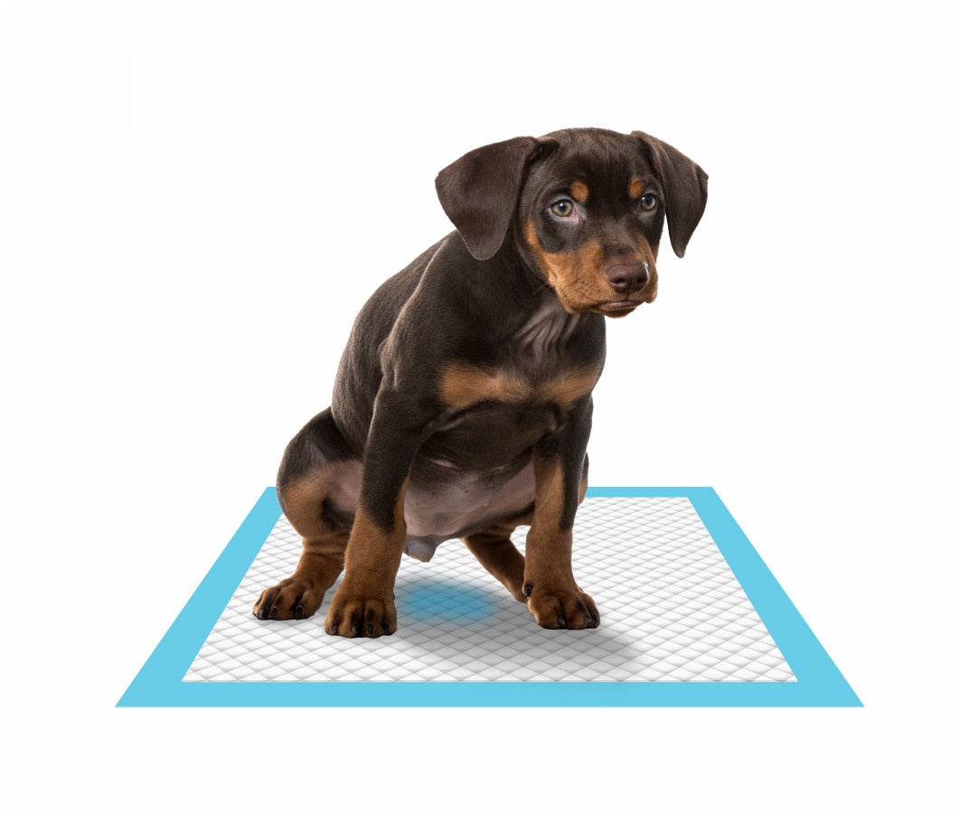 Premium Dog Pads (10 ks) – (podložky) pro psy a štěňata