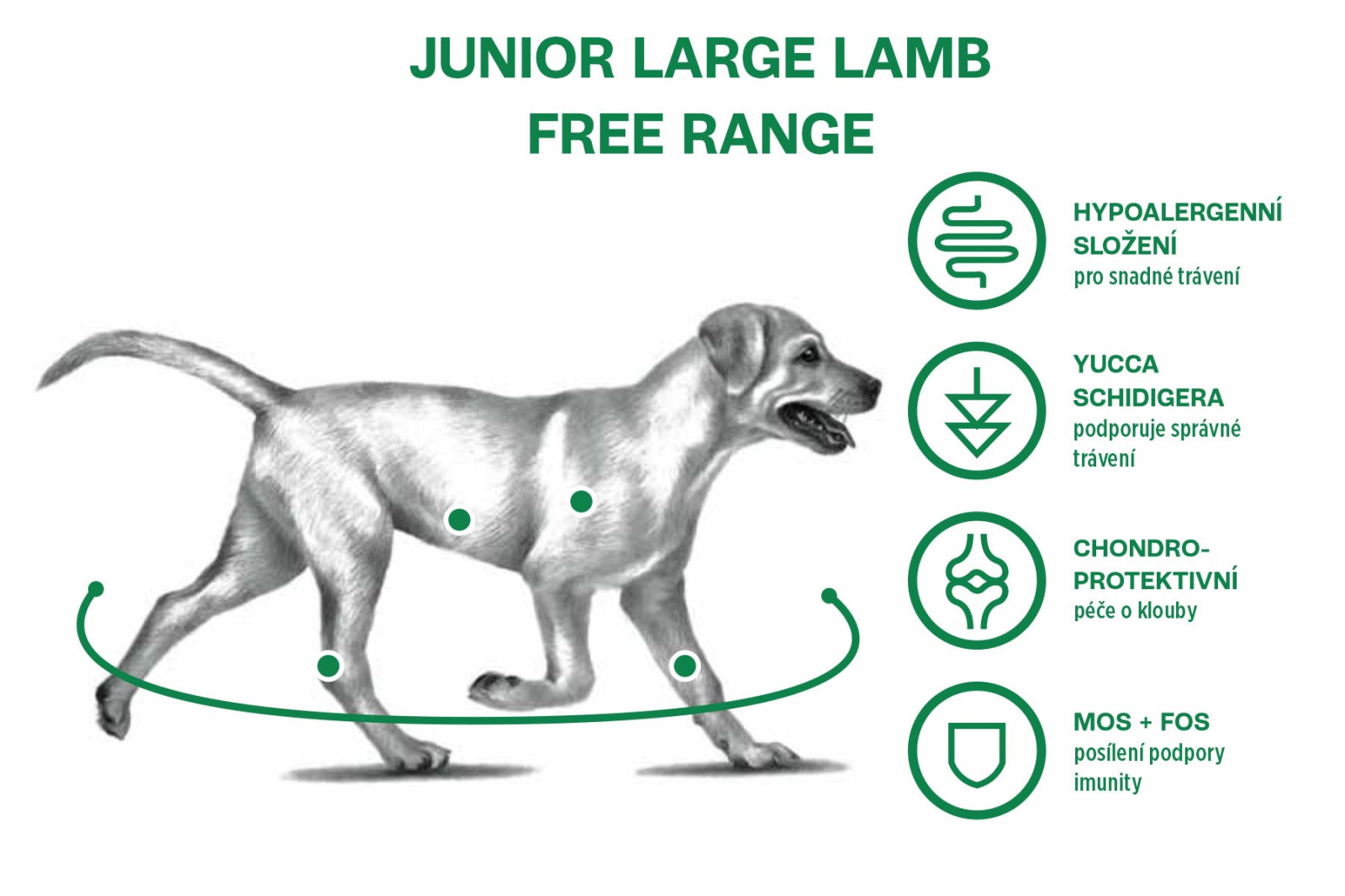 Sam's Field Low Grain Junior Large Lamb - Free Range, superprémiové granule pro štěňata a mladé psy velkých plemen s jehněčím z volného chovu, 2,5 kg