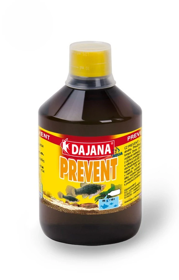 Dajana Prevent