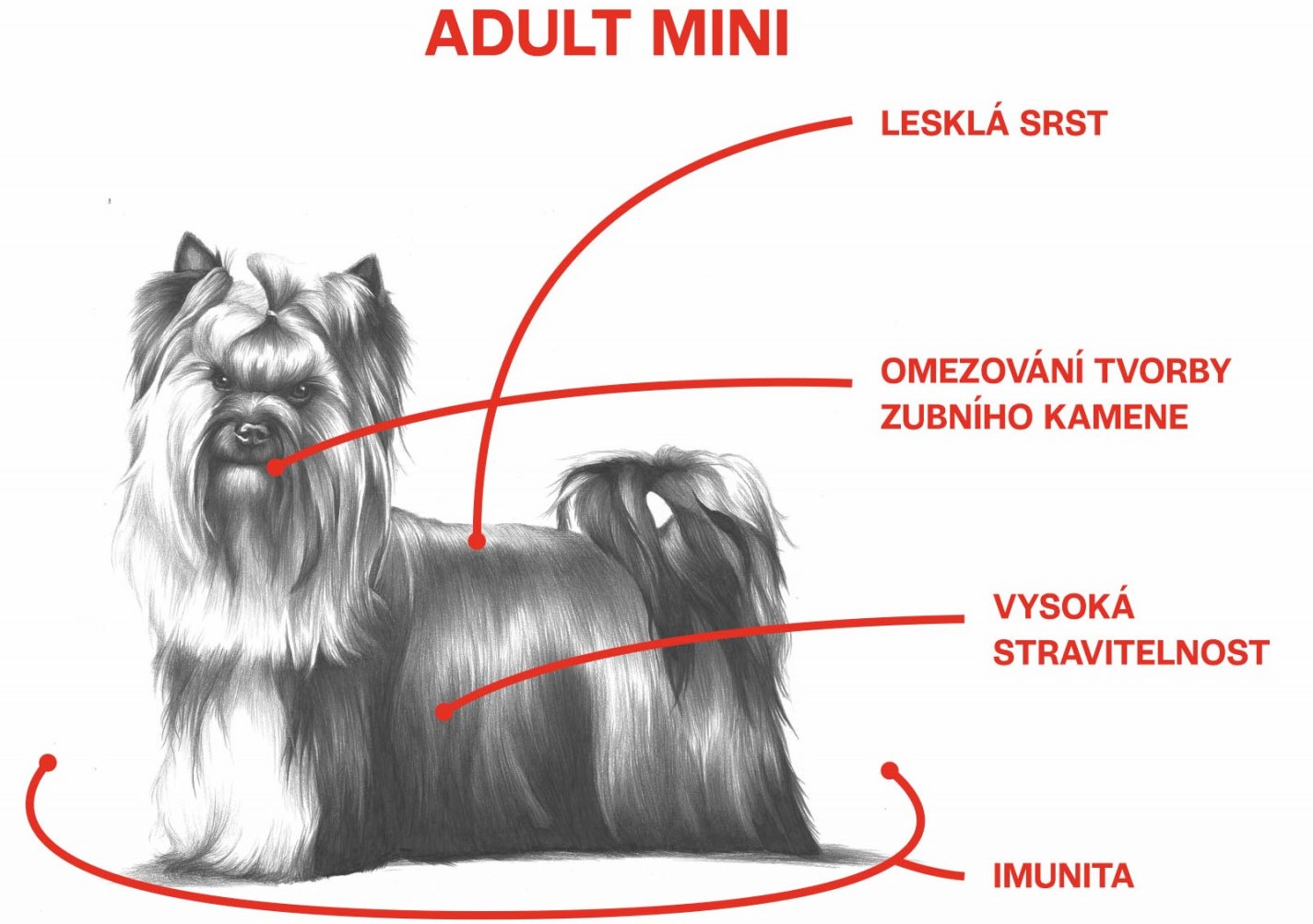 Sam's Field Low Grain Adult Mini Chicken & Potato, superprémiové granule pro dospělé psy všech mini a malých plemen, 8 kg 