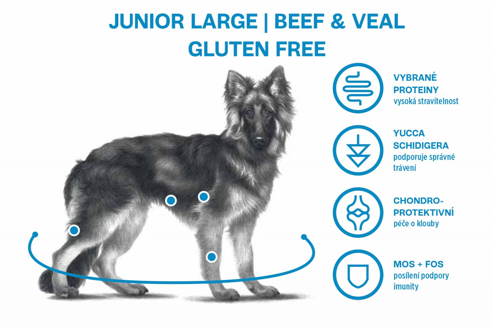 Sam's Field Gluten Free Beef & Veal Junior Large, superprémiové granule pro štěňata a mladé psy velkých a obřích plemen, 13 kg 