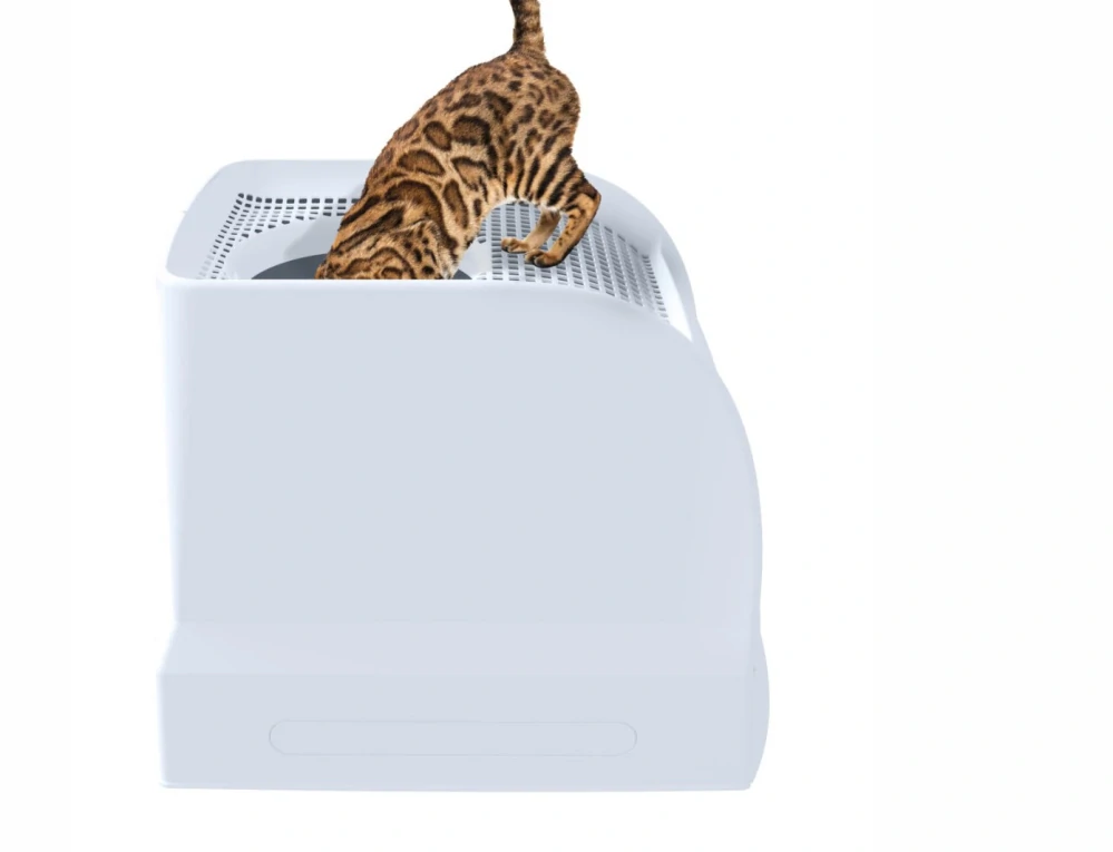 Toaleta plastová -  Imac Frida, 56×40×43 cm