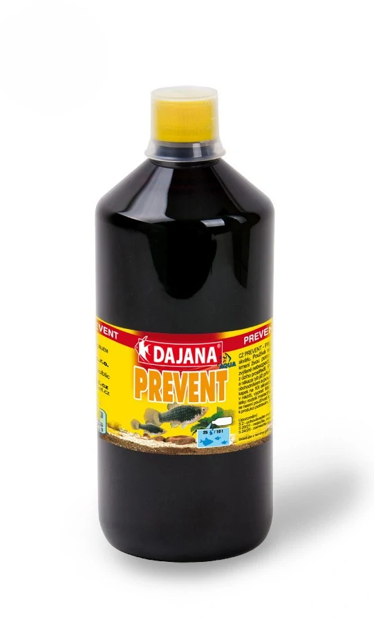 Dajana Prevent