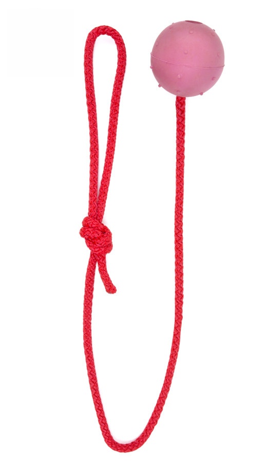 Míček 5 cm - odolná hračka z tvrdé gumy