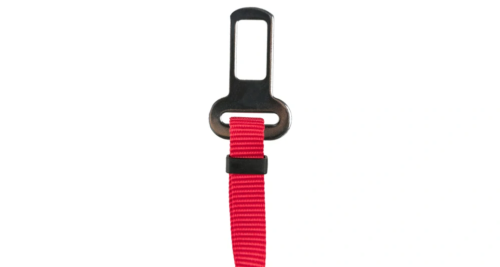 Postroj do auta pro kočku 20-50cm