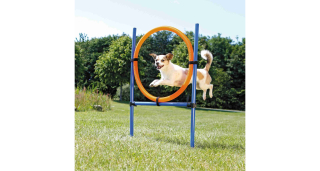 AGILITY kruh proskakovací