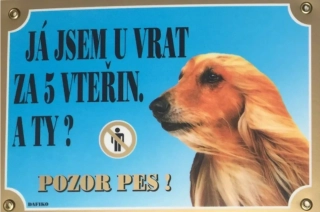 Cedule na vrata Afghánský chrt