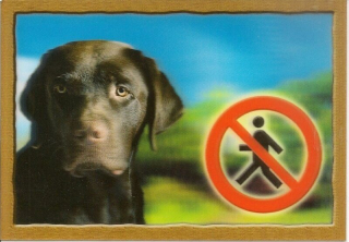 Cedule na vrata 3D Labradorský retrivr hnědý