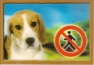 Cedule na vrata 3D Beagle