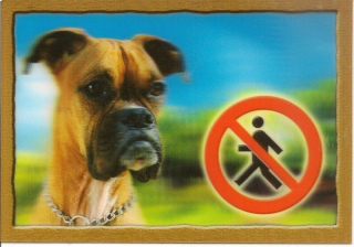 Cedule na vrata 3D Boxer