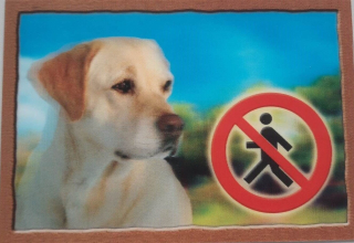 Cedule na vrata 3D Labradorský retrivr béžový