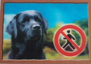 Cedule na vrata 3D Labradorský retrivr černý