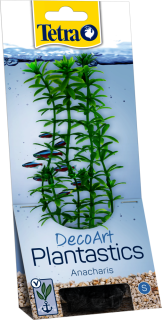 Rostlina TETRA Anacharis 
