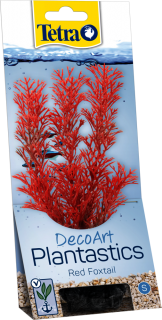 Rostlina TETRA Foxtail Red 